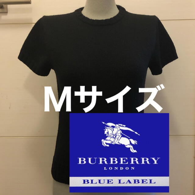 BURBERRY BLUE LABEL(バーバリーブルーレーベル)の【しぃーちゃん様専用】バーバリー 半袖 カットソー Ｍサイズ 三陽商会 レディースのトップス(カットソー(半袖/袖なし))の商品写真