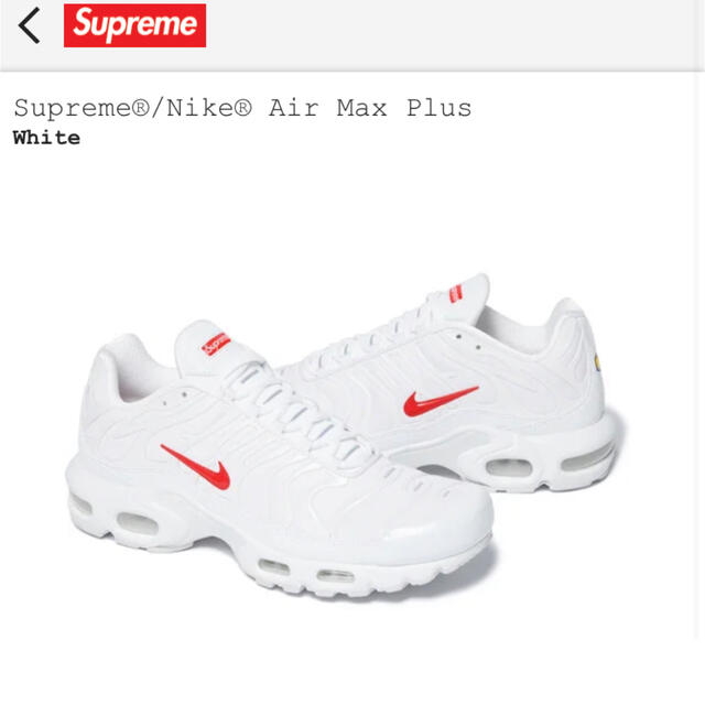 Supreme(シュプリーム)のSupreme®/Nike® Air Max Plus 29cm メンズの靴/シューズ(スニーカー)の商品写真