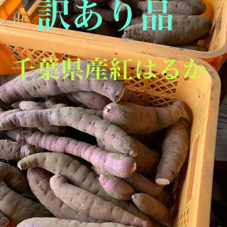 訳あり品　千葉県産サツマイモ　紅はるか5.5キロ(野菜)