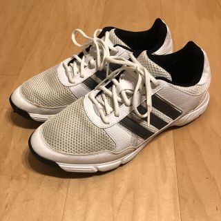 アディダス(adidas)のゴルフシューズ(シューズ)