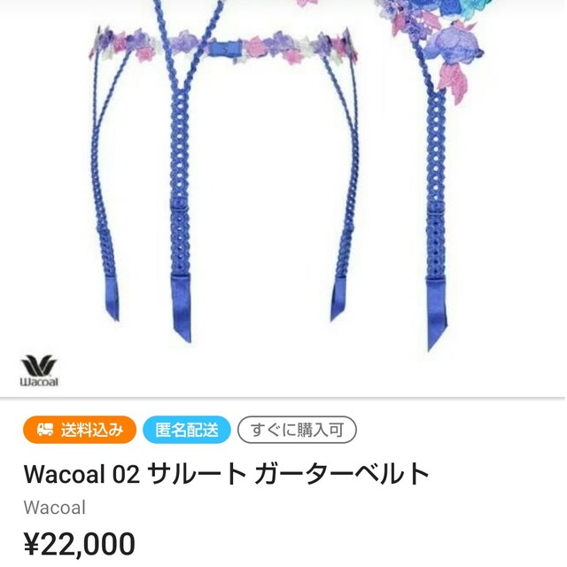 Wacoal(ワコール)の心愛様専用ᰔᩚ  ᥫᩣWacoal 02 サルート E65とMショーツ レディースのレディース その他(セット/コーデ)の商品写真