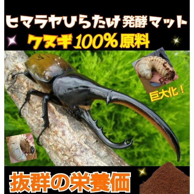 大きくなるカブトムシ幼虫の餌！送料無料！リットル ヒマラヤひら