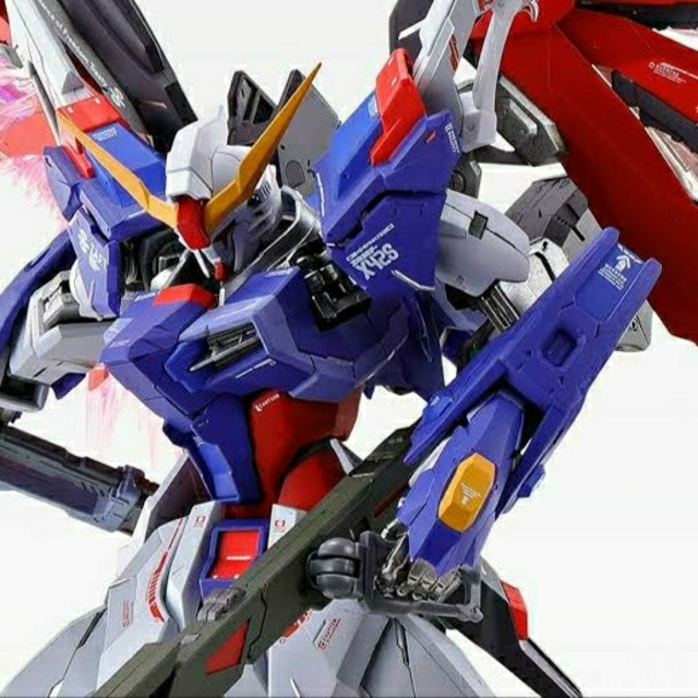 メタルビルド METAL BUILD デスティニーガンダム SOUL RED