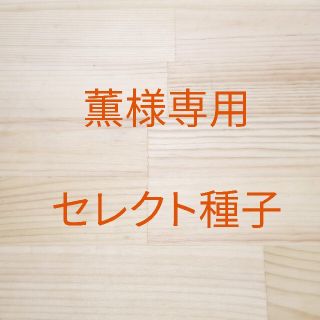 薫様専用　セレクト種子　10袋(野菜)