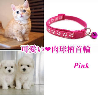 ☆新品☆❤︎可愛い❤︎鈴付き肉球柄首輪 ピンク 猫 小型犬(猫)