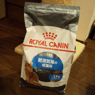 ロイヤルカナン(ROYAL CANIN)の【chikuw@様専用】ロイヤルカナン (ペットフード)