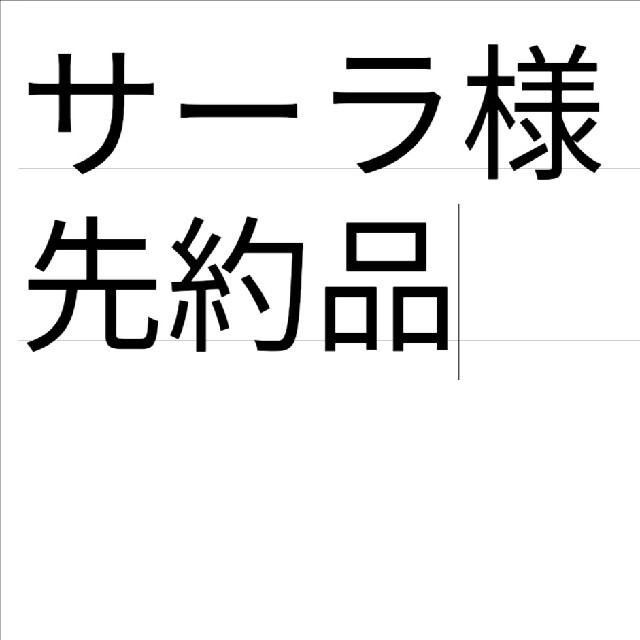 商品が購入可能です サーラ様先約ドラゴンボールワールド 一番くじ B賞