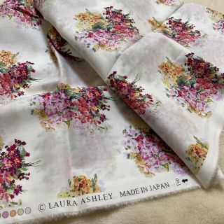 ローラアシュレイ(LAURA ASHLEY)のローラアシュレイ生地　ブロンウェン　　　生地巾110cm×約250cm(生地/糸)