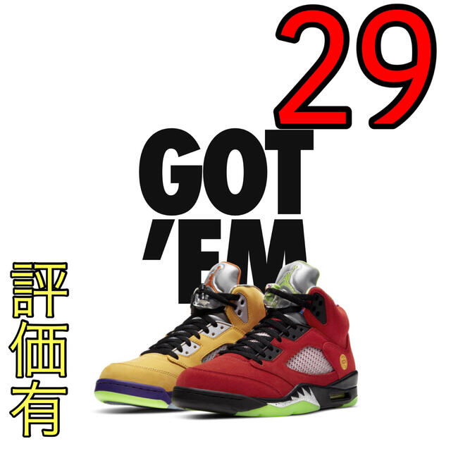 NIKE AIR JORDAN 5 What The 29