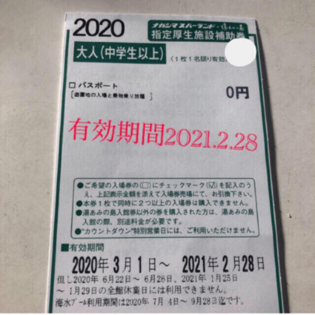 ナガシマスパーランド 入場券&乗り物パスポート 大人2名 チケットの施設利用券(遊園地/テーマパーク)の商品写真