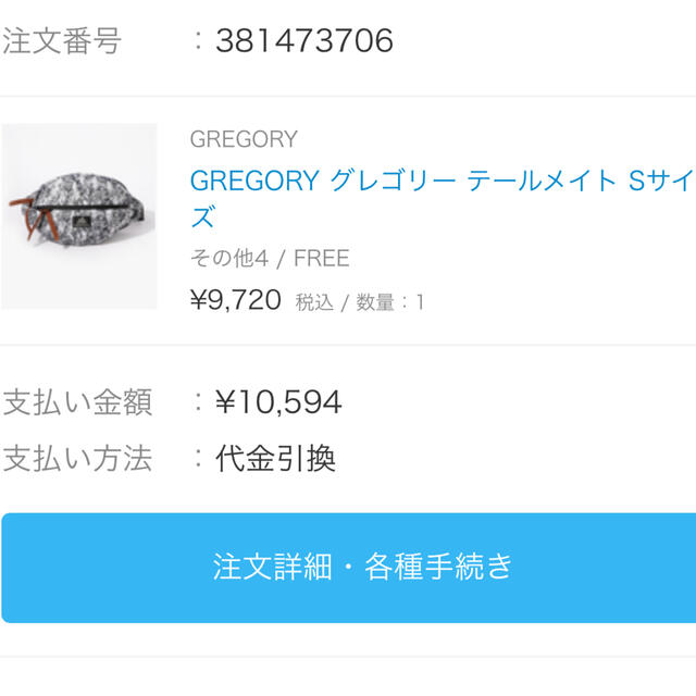 Gregory(グレゴリー)のGregory グレゴリーテールメイトS ツリーラインカモ メンズのバッグ(ショルダーバッグ)の商品写真