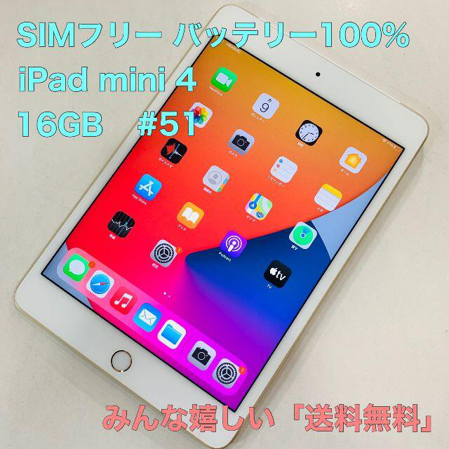 電池100% iPad mini 第4世代 16GB SIMフリー #51