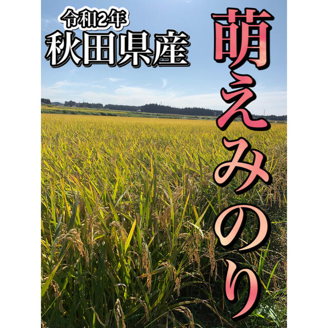 令和2年 秋田県産【萌えみのり】玄米20kg 減農薬 大粒 美味い！！食品