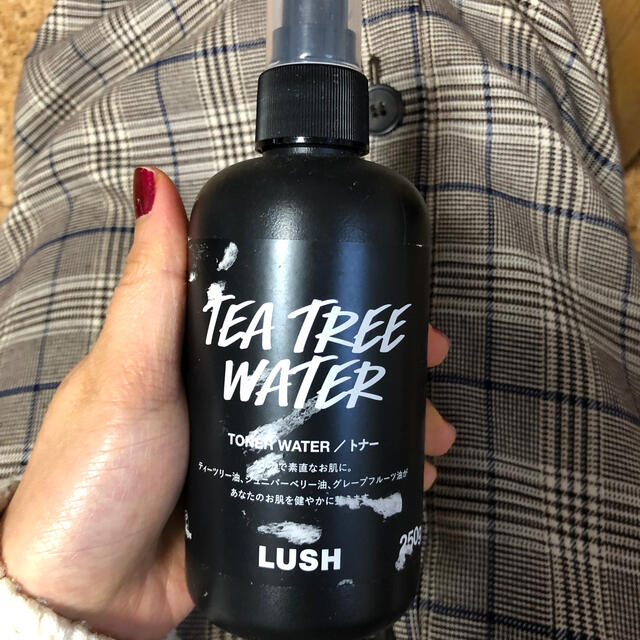 LUSH(ラッシュ)のLUSH TONER WATER + BODY MILK  コスメ/美容のボディケア(ボディクリーム)の商品写真