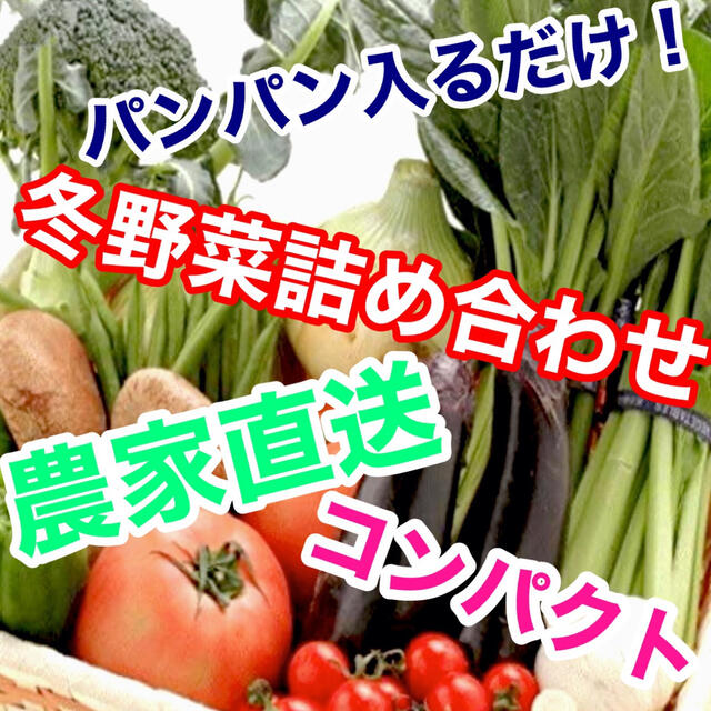 採れたて！発送冬野菜詰め合わせコンパクトぱんぱん発送‼️送料無料 食品/飲料/酒の食品(野菜)の商品写真