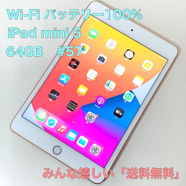 電池100% ipad mini 第5世代 64GB Wi-Fi #57備考特になし