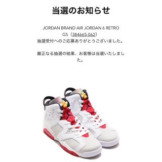 ナイキ(NIKE)のハイエンド様専用NIKE AIR JORDAN 6 RETRO GS(スニーカー)