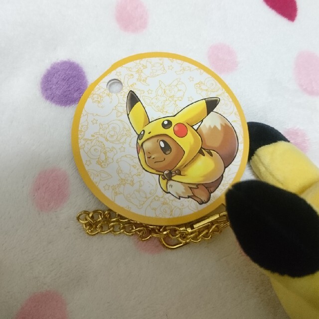 ポケモン - 【美品】お値下げしました。ピカチュウポンチョのイーブイ