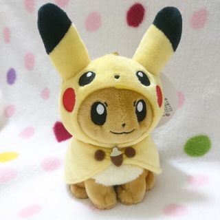 ポケモン - 【美品】お値下げしました。ピカチュウポンチョのイーブイ