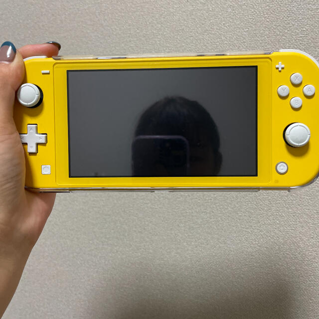 Switch Light、スプラトゥーンカセット