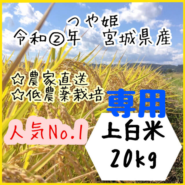 米/穀物☆専用品【農家直送】宮城県産つや姫　上白米10kg×2袋【送料無料】