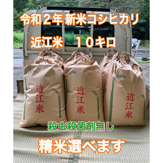 なんきんたんさま専用新米近江米コシヒカリ 無洗米6キロ害虫農薬散布無 お米 安心(米/穀物)