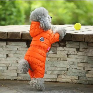 モンクレール(MONCLER)の犬服 ダウン MONCLER オレンジ Mサイズ(犬)