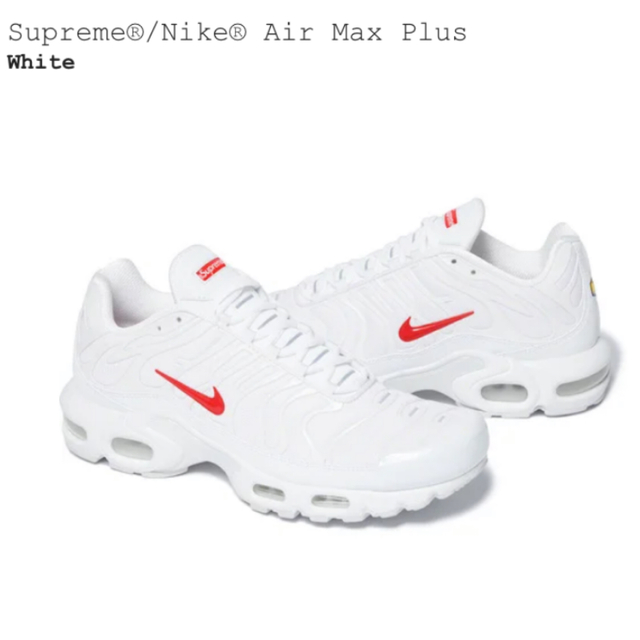 Supreme®/Nike® Air Max Plus 1