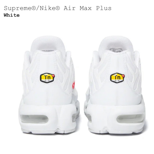 Supreme®/Nike® Air Max Plus 3