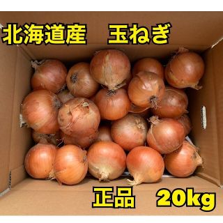 北海道産玉ねぎ品種北もみじ2000(野菜)