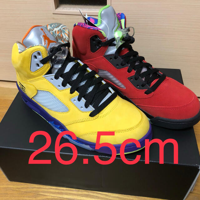 NIKE(ナイキ)のNIKE Air Jordan 5 Retro SE メンズの靴/シューズ(スニーカー)の商品写真