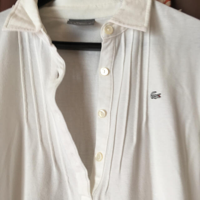 LACOSTE(ラコステ)のラコステ　LACOSTE ポロシャツ　長袖　美品 レディースのトップス(ポロシャツ)の商品写真