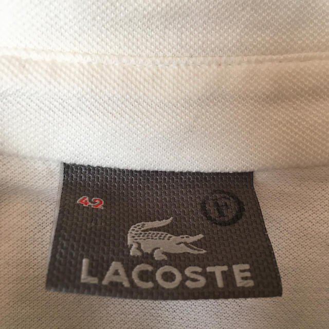 LACOSTE(ラコステ)のラコステ　LACOSTE ポロシャツ　長袖　美品 レディースのトップス(ポロシャツ)の商品写真