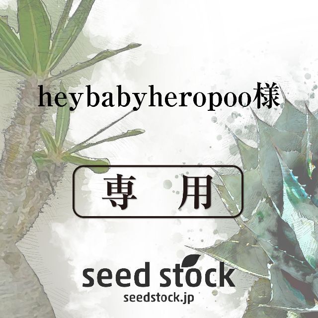 heybabyheropoo様専用 ハンドメイドのフラワー/ガーデン(その他)の商品写真