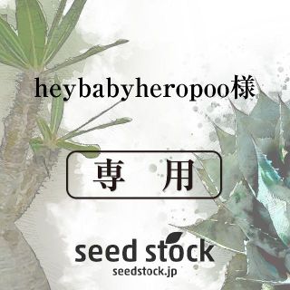 heybabyheropoo様専用(その他)