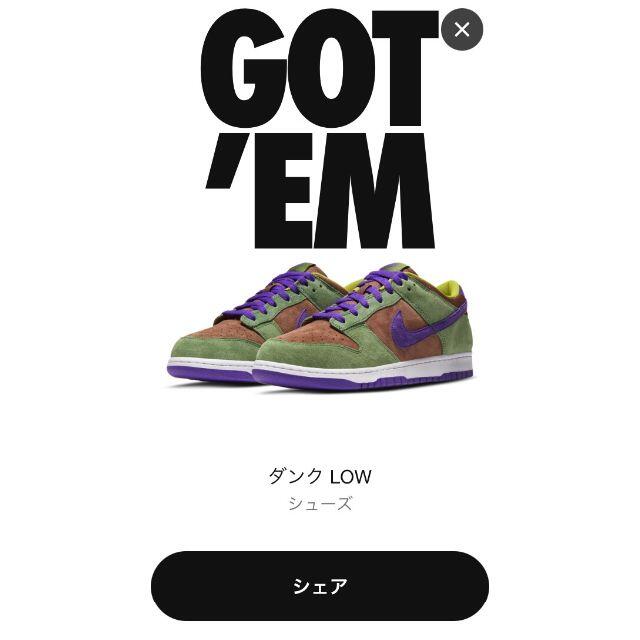 24.5cm NIKE DUNK LOW "VENEER" 　べニア　ダンク