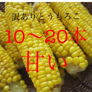 激安！訳ありとうもろこし10〜20本入り(野菜)