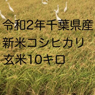 令和2年新米コシヒカリ玄米10kg(米/穀物)