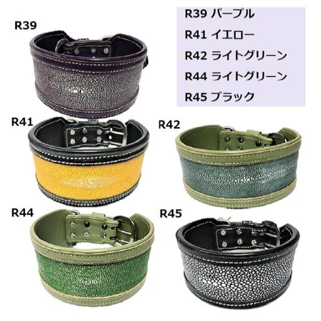 30％OFF R41,42,44,45 首輪 カラー エイ革 ガルーシャ