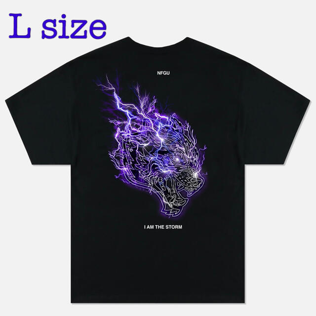 Champion(チャンピオン)の【DarcSport】I am the storm Tシャツ［L］Black メンズのトップス(Tシャツ/カットソー(半袖/袖なし))の商品写真