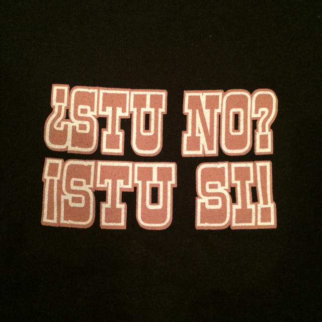 STUSSY(ステューシー)のSTUSSY レディースTEE レディースのトップス(Tシャツ(半袖/袖なし))の商品写真