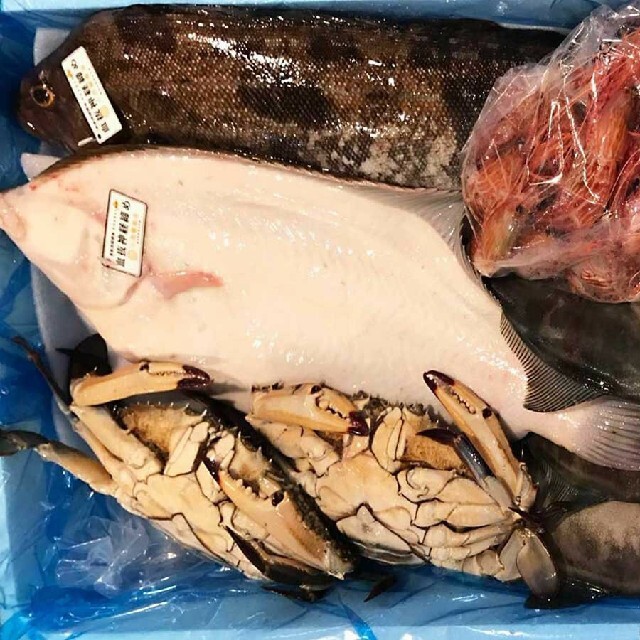 朝水揚げ　魚介類宝箱セット 食品/飲料/酒の食品(魚介)の商品写真