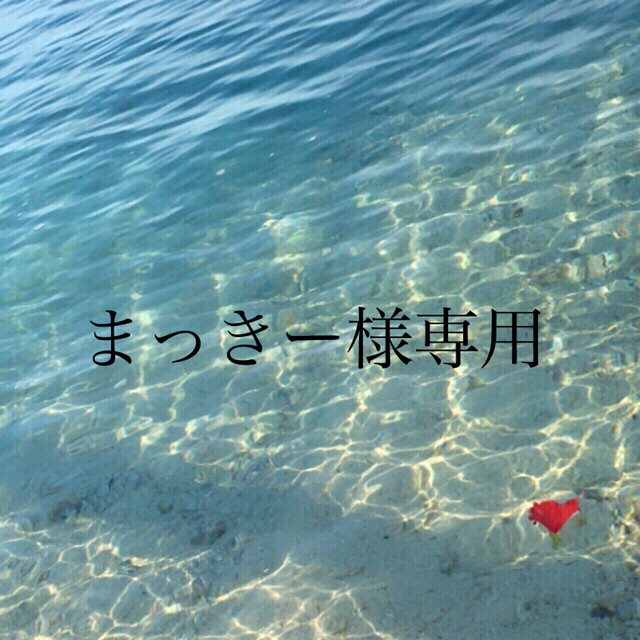 img.fril.jp/img/377106777/l/1072304920.jpg?1605826...