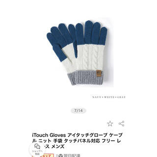 iTouch Gloves スマホを触れる手袋(手袋)