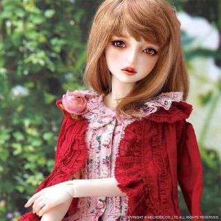 ボークス(VOLKS)の新品　SDGr 女の子 Sophie ソフィー PINK HOUSE ドール (その他)