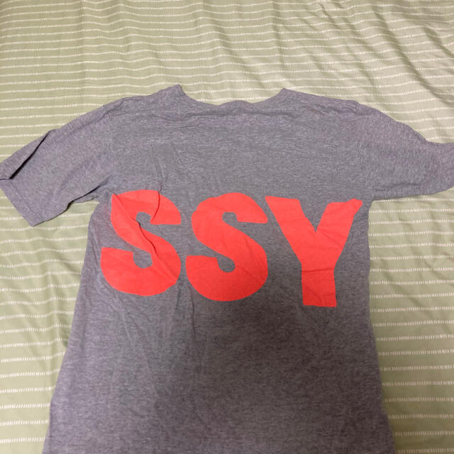 STUSSY(ステューシー)の【ラブ様専用】STUSSY tシャツ レディースのトップス(Tシャツ(半袖/袖なし))の商品写真