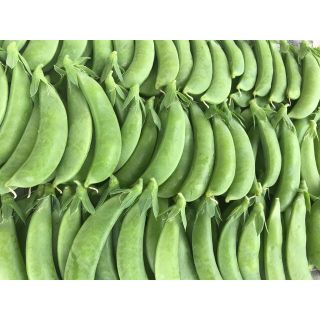 スナップエンドウ(野菜)