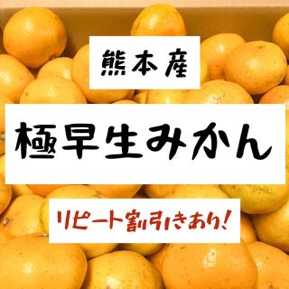 熊本県産 極早生みかん5kg(フルーツ)