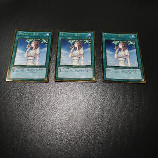 遊戯王 禁じられた聖杯 3枚