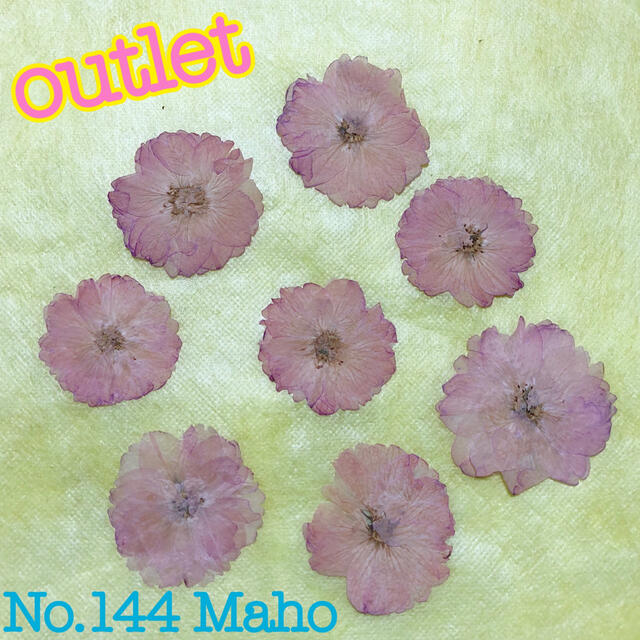 ♡outlet♡押し花素材♡八重桜♡♡ ハンドメイドの素材/材料(各種パーツ)の商品写真